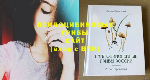 гашиш Володарск