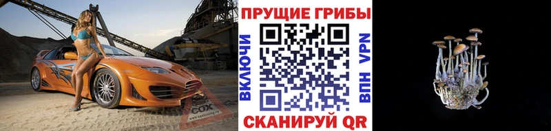 Псилоцибиновые грибы GOLDEN TEACHER  hydra как войти  Казань 